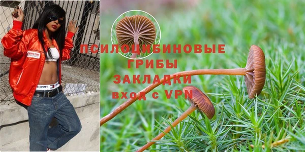 кокс Алзамай