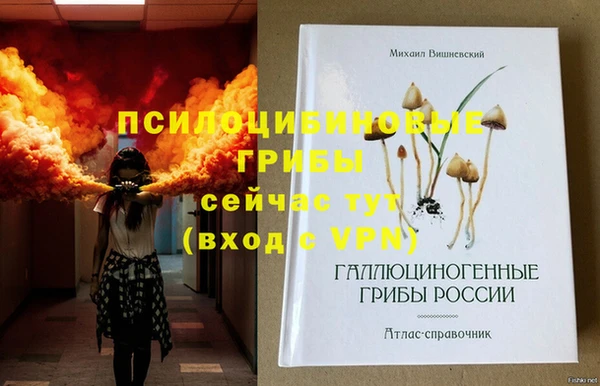 ГАЛЛЮЦИНОГЕННЫЕ ГРИБЫ Абинск